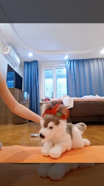 Звук из лайка взяла🤭