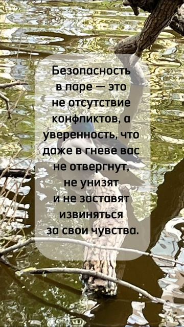 #shorts #любовь #любовьиотношения #психология #психологияжизни