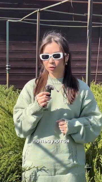 Почему дизайнеры так любят ЭТО растение? 👀🌿