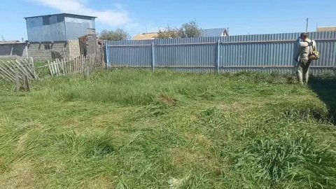 Работа в деревне: посадка клубники и вечерний загон коров