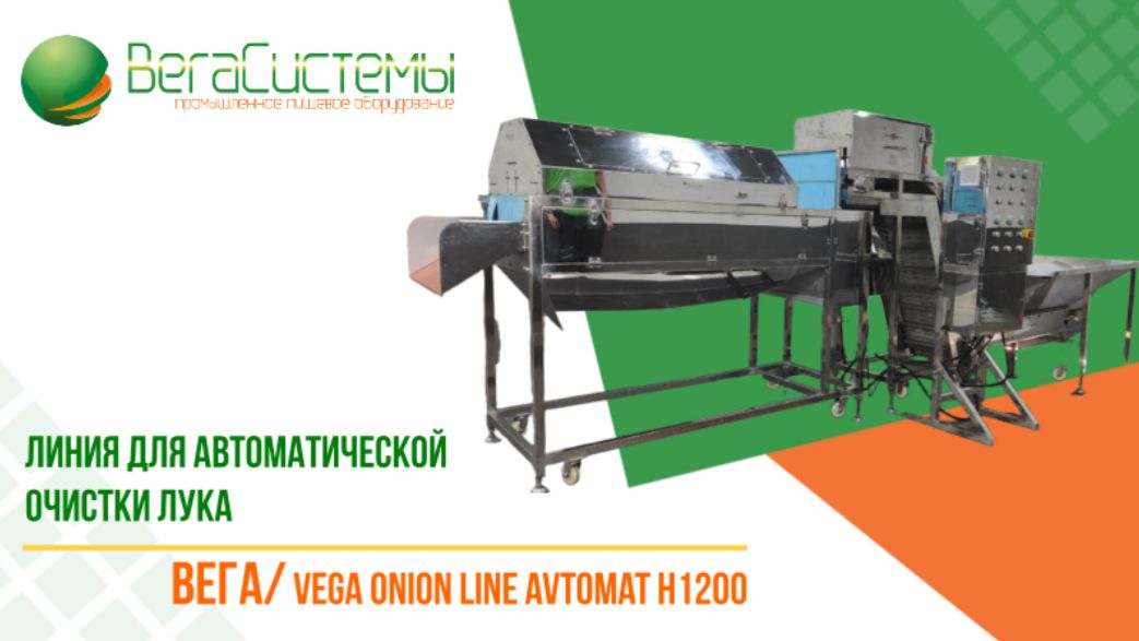 Линия для автоматической очистки лука Вега/Vega Onion Line Avtomat H1200