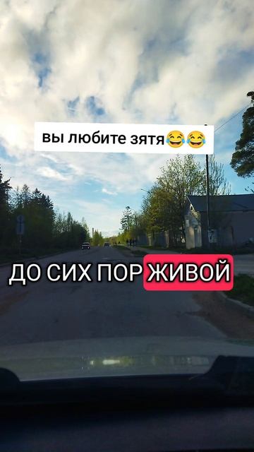 Вы любите зятя 😂😂🤣🤣🤣🤣🤣🤣🤣🤣🤣🤣