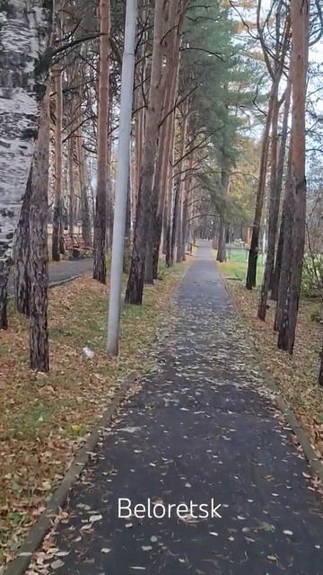 Октябрьский Белорецк_ парк в золотом убранстве