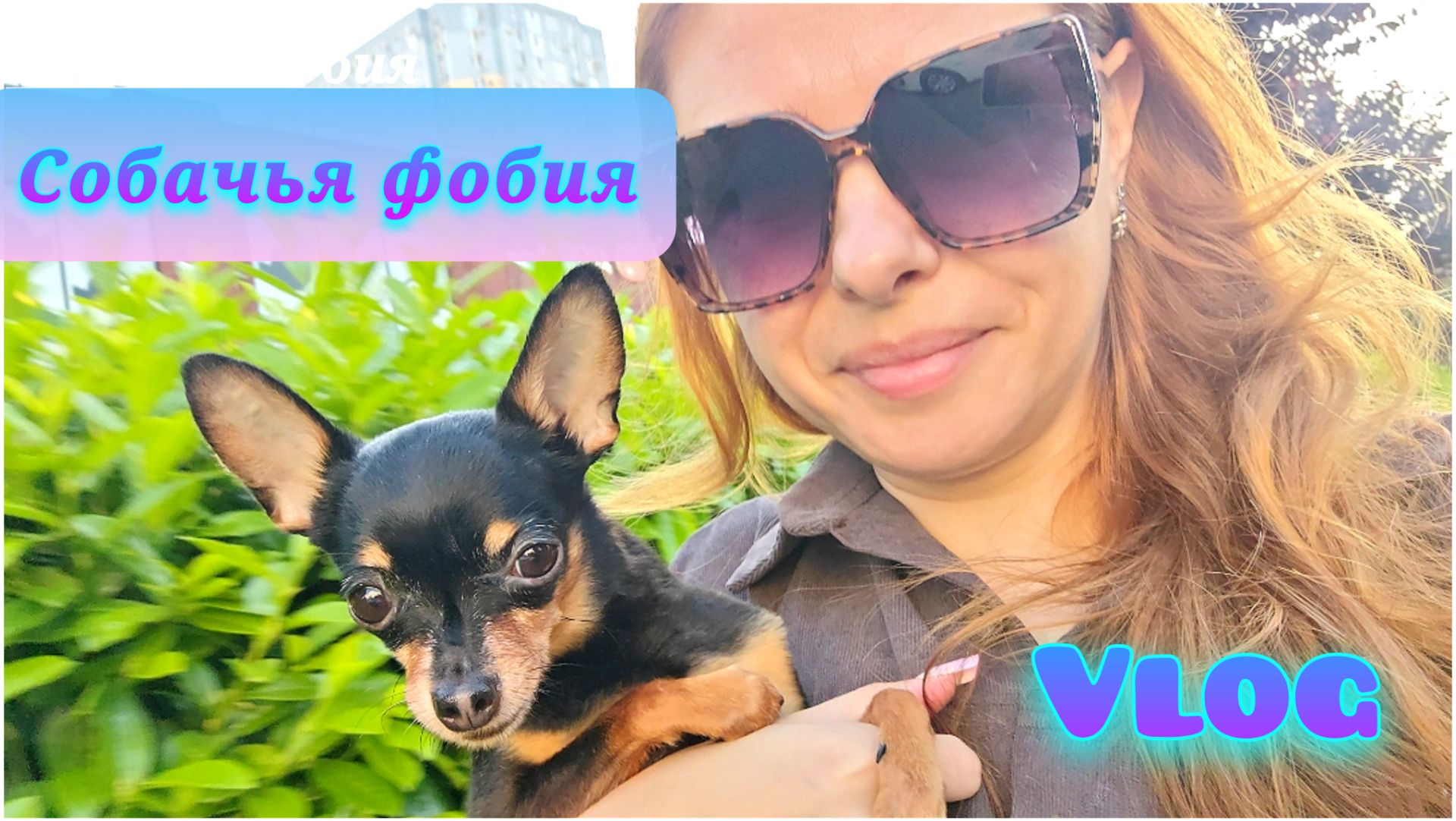 124/26. Перебираю гардероб//Испугалась до жути😱//Много покупок//Порядок на кухне🤗//Mariya VD LIFE