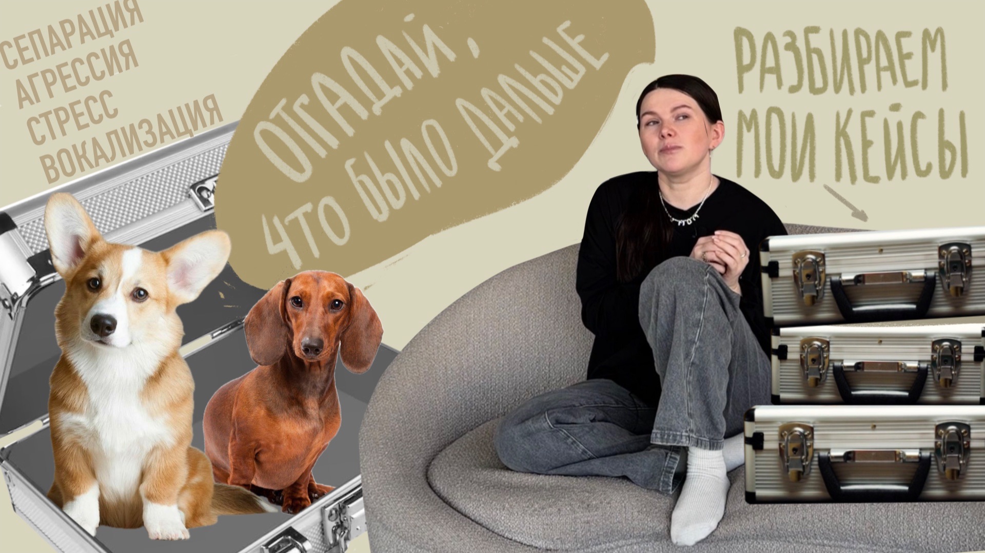 3 необычных кейса из практики кинолога