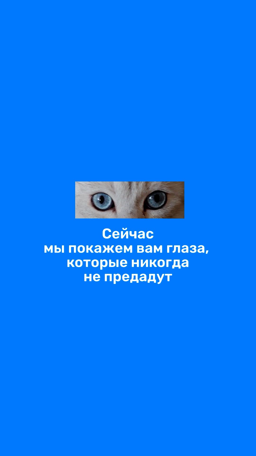 Daa82b8ce7da6a5190deb50f81a92ddb