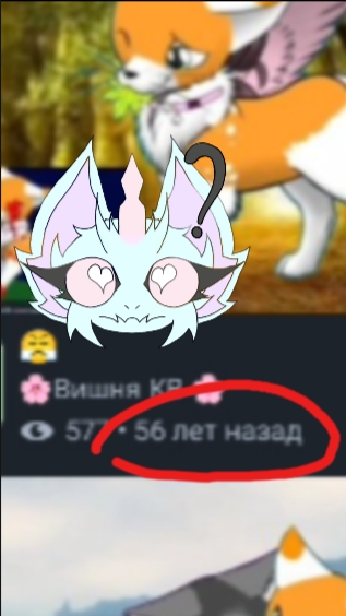 —★рутуб, тебе нормально?