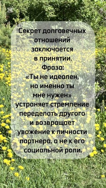 #shorts#любовь#любовьиотношения #психология #психологияжизни#психологияличности