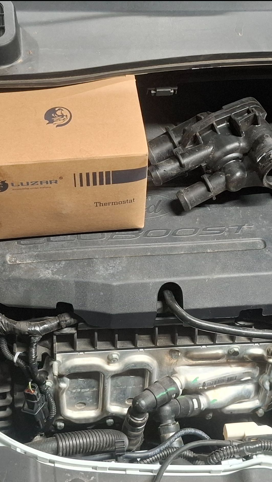 Форд Куга -2 Ecoboost греется двс. Замена термостата