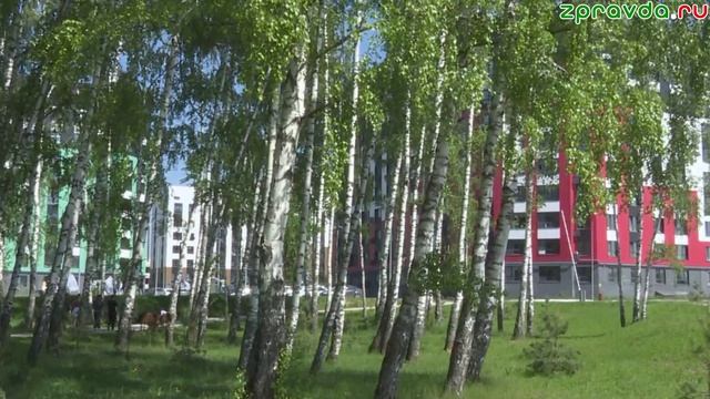 Новости Зеленодольска 22.05.2026
