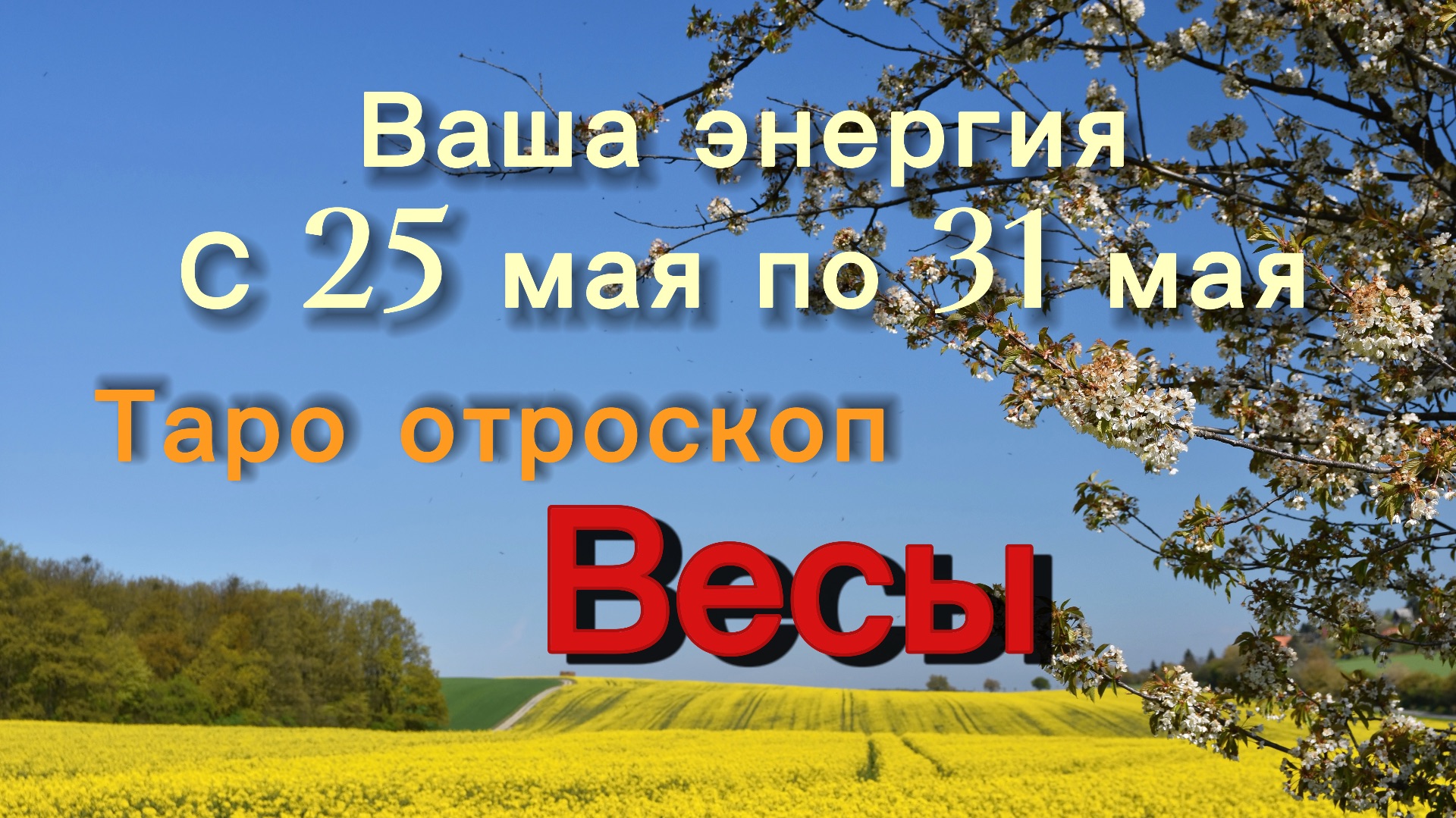 ВЕСЫ ваша энергия !💕с 25  по 31 мая ‼️ #гадание #таро #раскладтаро