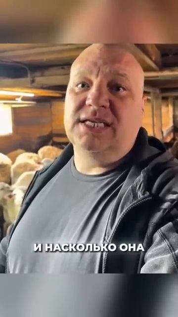 Работяга Обратился К Зажравшимся Чинушам