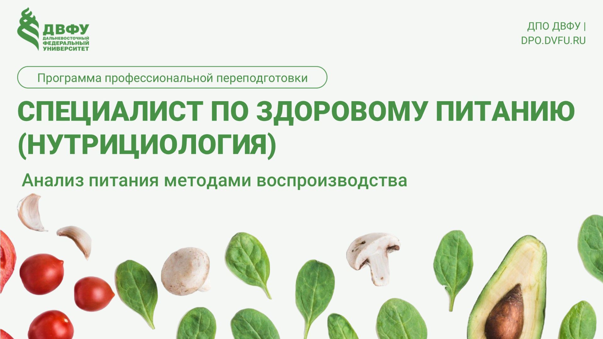 4.1.1 Анализ питания методами воспроизводства Сингур