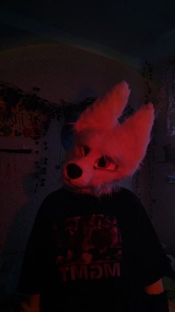 #furry #mask #фурри #творчество #маска #меховаямаска