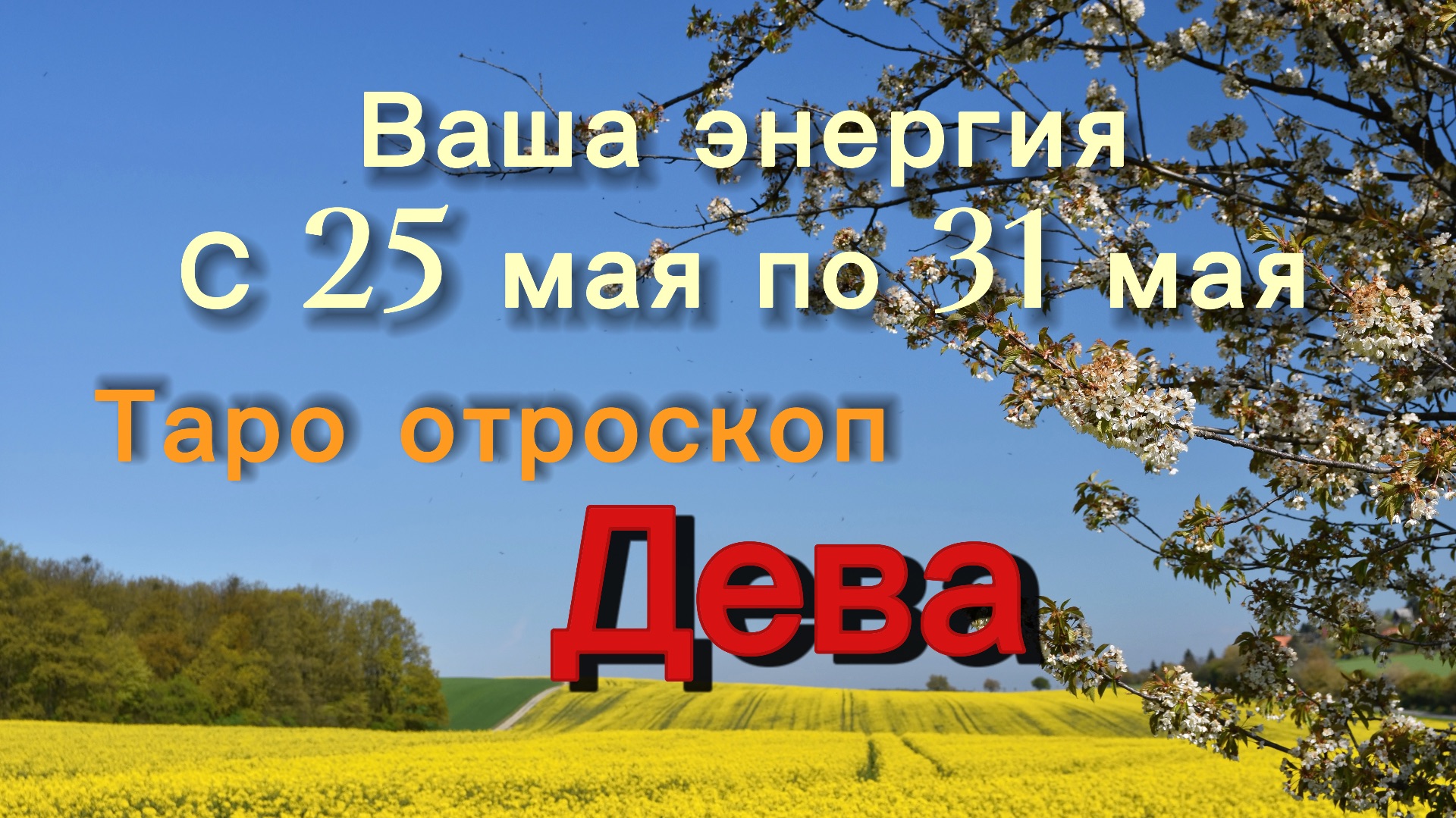 ДЕВА ваша энергия !💕с 25  по 31 мая ‼️ #гадание #таро #раскладтаро