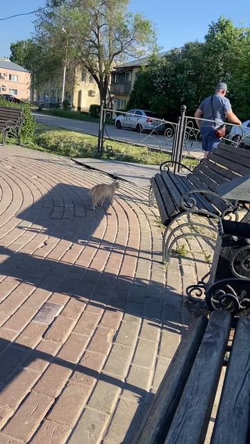 Какая милота 😻