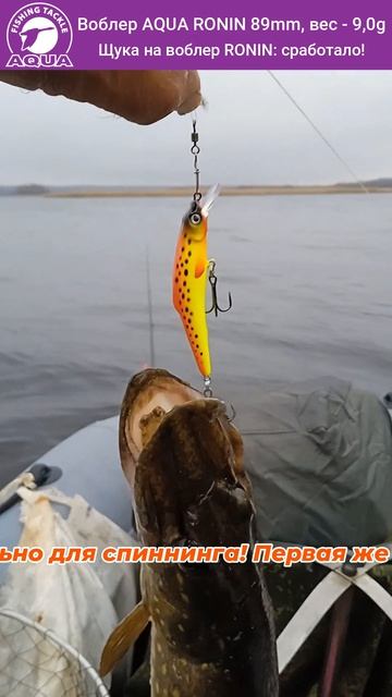 🎣 AQUA RONIN — воблер, который делает рыбалку ярче! #рыбалка #fishing