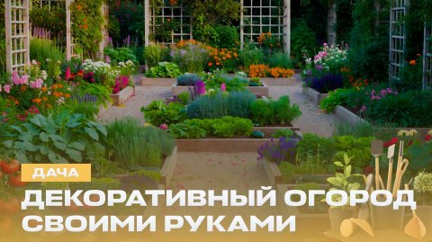 Как правильно сделать стильные грядки? Пошаговая инструкция обрезки голубики | Дача