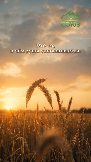 О любви - субботний покой
