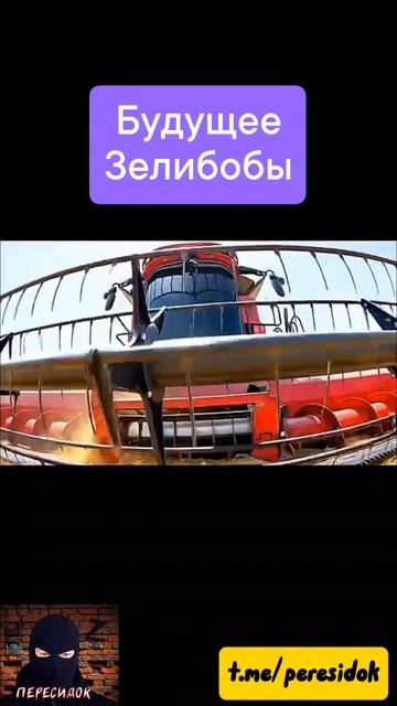 Будущее Зели