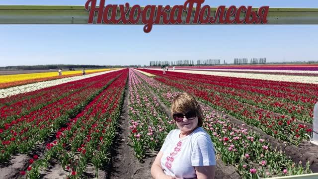 Белорусский вояж: продолжение пути..