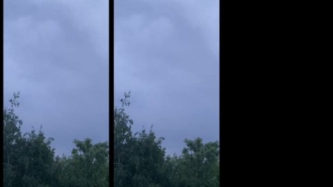 Москва. Пение птиц на рассвете