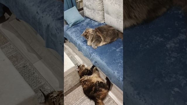 Поиграли