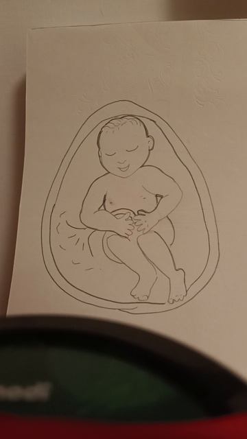 плаха плачет у бабули...18+.