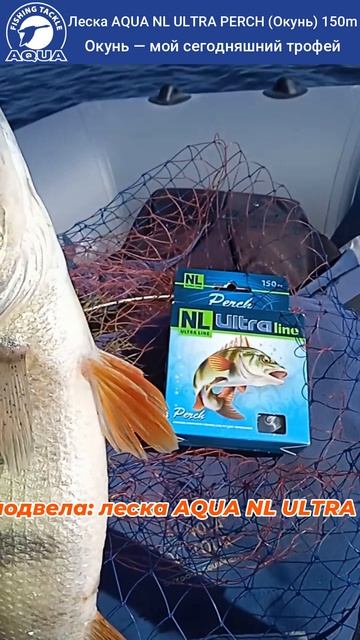 🎣 Окунь клевал один за другим!  #рыбалка #fishing