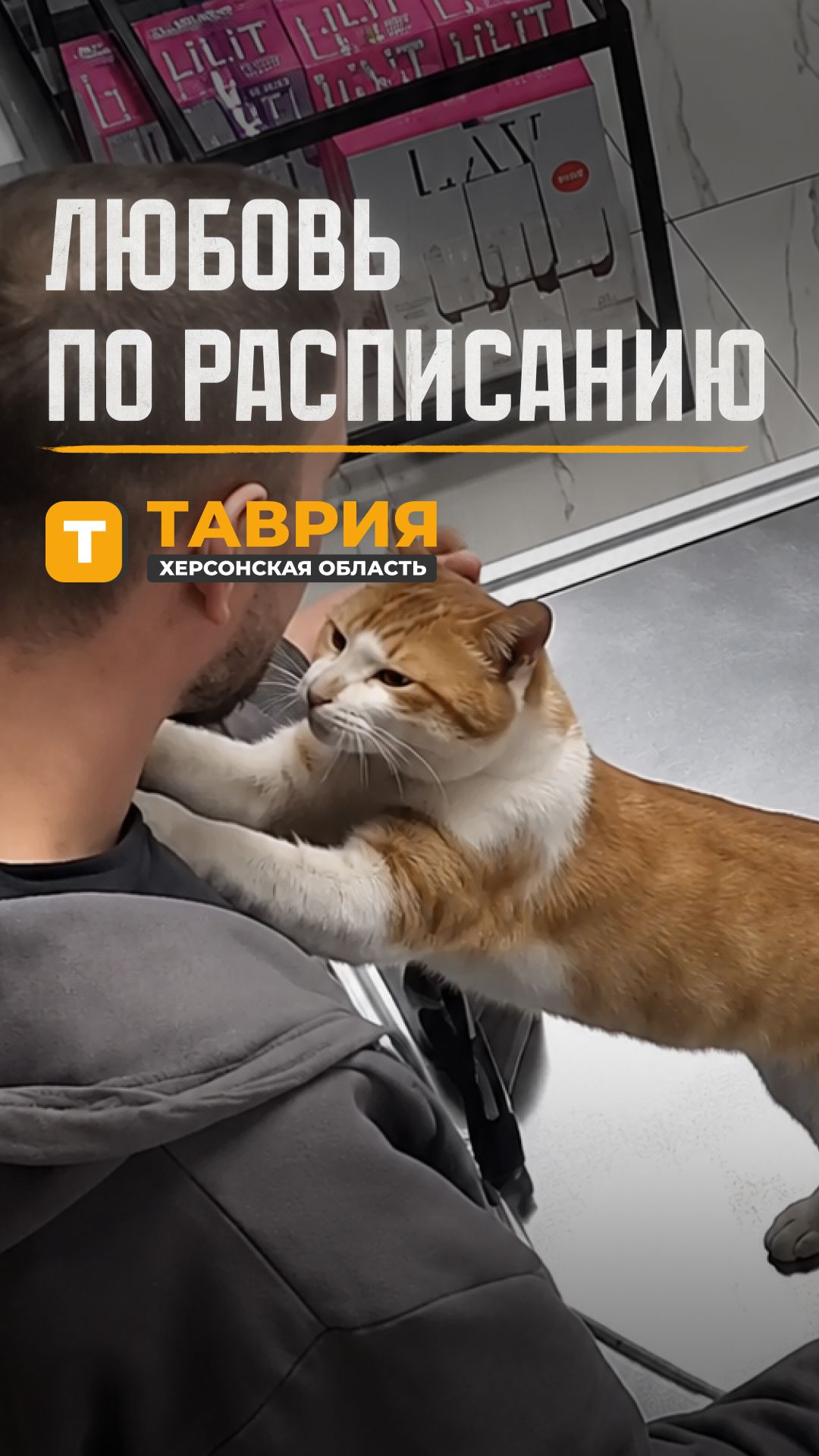 Любовь по расписанию