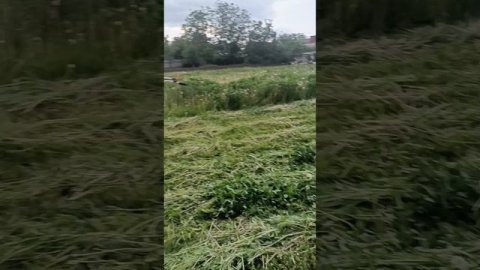 Кончится весна...;)