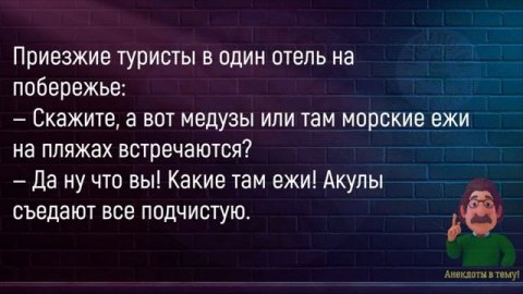 💁♂️Как_Мужик_С_Пальмой_Разговаривал!_Сборник_Смешных_Анекдотов!