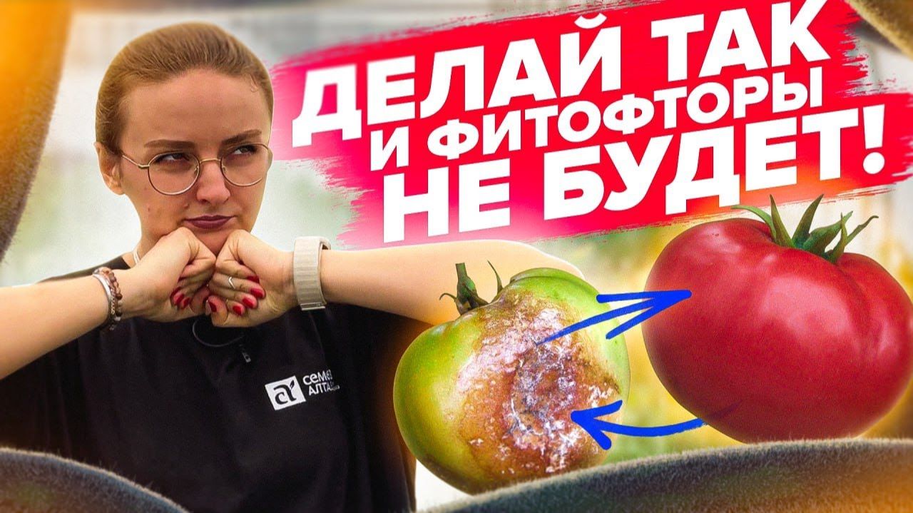 Профилактика болезней томатов ПОСЛЕ ЭТОГО ТОМАТЫ НЕ ЗАБОЛЕЮТ!