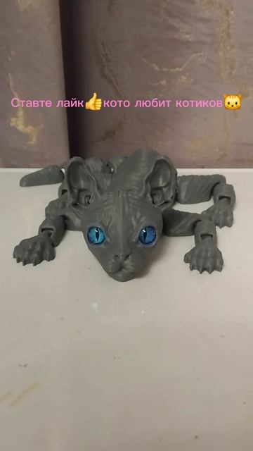 Котики🐱милашки🫶