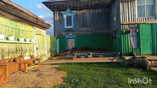 //231// Сделала ещё грядки.Перебрала лук на посадку.