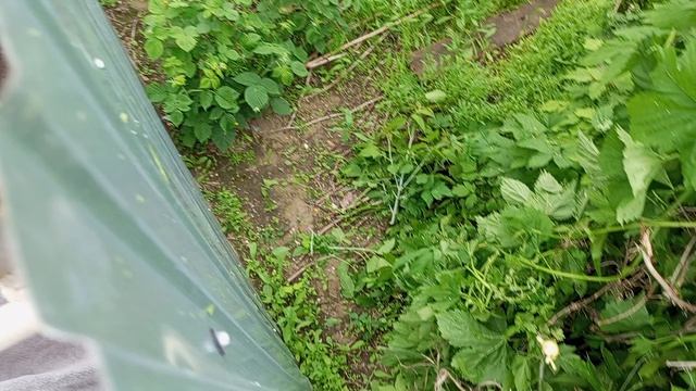 1000041018.mp4