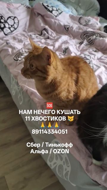 ПРОПАДАЕМ 🆘