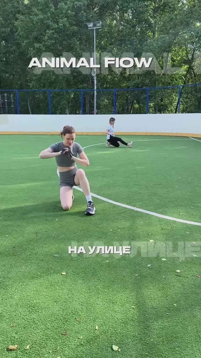 Утренние практики на улице Animal flow