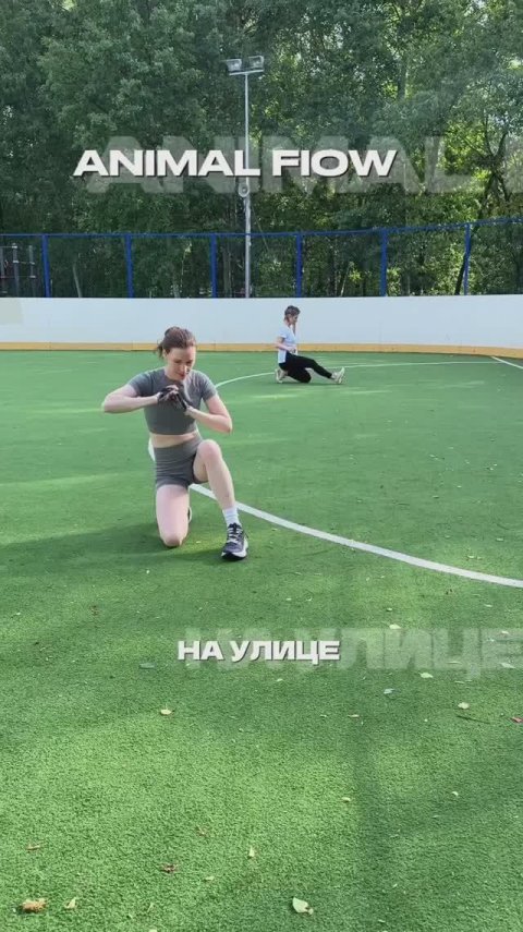 Утренние практики на улице Animal flow