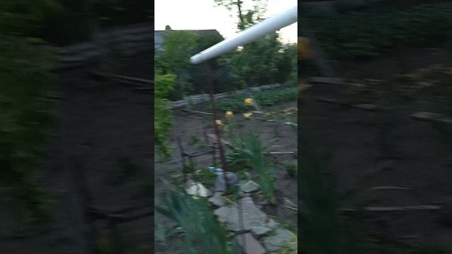 1000104962.mp4субботний вечер