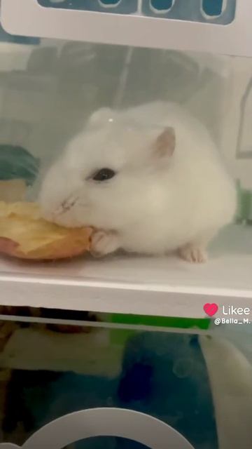 1000022665.mp4