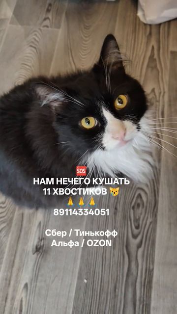 ХОТИМ ЖИТЬ 🙏