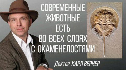 Современные животные среди ископаемых