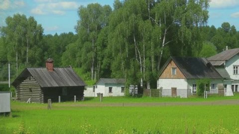 Звук природы. Пение птицы Пищюха обыкновенная в деревне