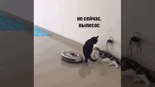Серьёзный разговор