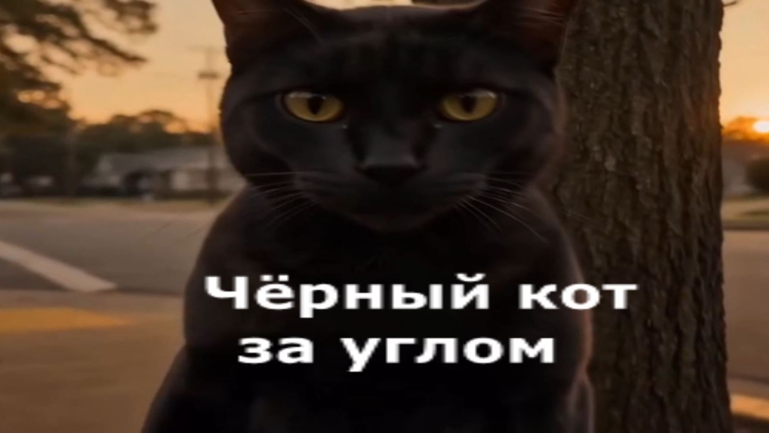 Чёрный кот за углом