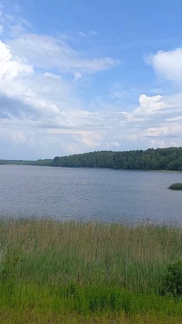 Только с тобою
