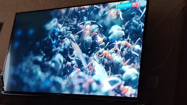 Фрагмент эфира Россия Культура (23.05.2026)