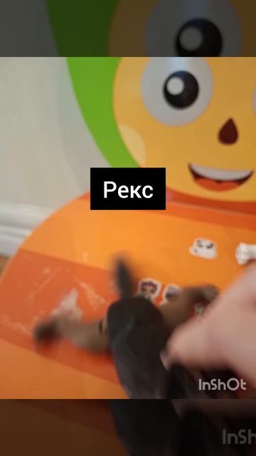 Кого мне завтра взять из них на ВЫПУСКНОЙ?)❤️
