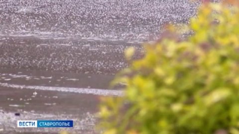 На Ставрополье установилась теплая и дождливая погода